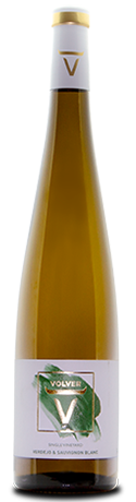 Vinuri spaniole Vin si Gust | Vinuri spaniole | Vinuri Spania | Vinuri din Spania | Vinuri premiate | Vinuri horeca | Comenzi vinuri | Jamon | Jamon Spania | Jamon Spania | Branza Cedar | Fructe de mare | Fructe de mare de Spania