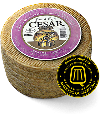 Vinuri spaniole Vin si Gust | Vinuri spaniole | Vinuri Spania | Vinuri din Spania | Vinuri premiate | Vinuri horeca | Comenzi vinuri | Jamon | Jamon Spania | Jamon Spania | Branza Cedar | Fructe de mare | Fructe de mare de Spania
