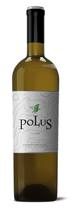 Vinuri spaniole Vin si Gust | Vinuri spaniole | Vinuri Spania | Vinuri din Spania | Vinuri premiate | Vinuri horeca | Comenzi vinuri | Jamon | Jamon Spania | Jamon Spania | Branza Cedar | Fructe de mare | Fructe de mare de Spania